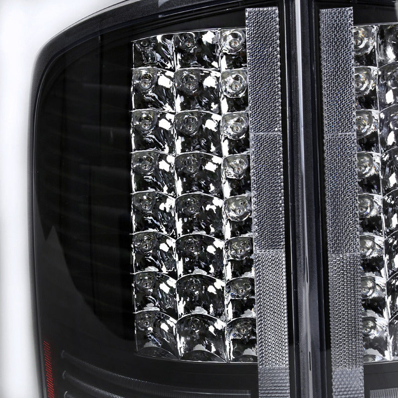Led Ram Skulls 2002 to 2006