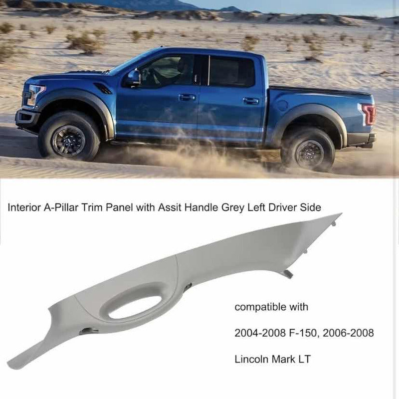 Left Grab Bar Molding F-150 2004 2005 2006 TO 2008